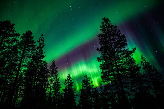 Family-Friendly: Northern Lights Adventure from Rovaniemi - Family-Friendly Timing for Kids (and Parents Who Want a Real Meal)