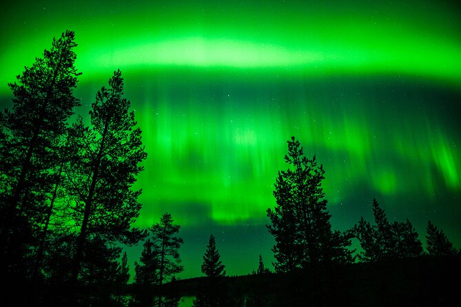 Family-Friendly: Northern Lights Adventure from Rovaniemi - Price and Value: What $126 Buys You in Real Winter Comfort