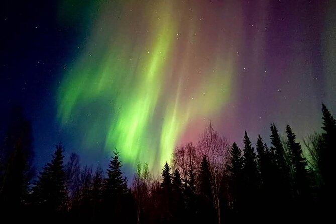 Fire & Ice: Chena Hot Springs, Ice Museum + Aurora Adventure - Getting Started From Fairbanks: Pickup Timing and Private Comfort