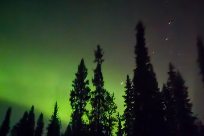 Fire & Ice: Chena Hot Springs, Ice Museum + Aurora Adventure - Food and Drinks: Optional Dinner, Included Fun Moments
