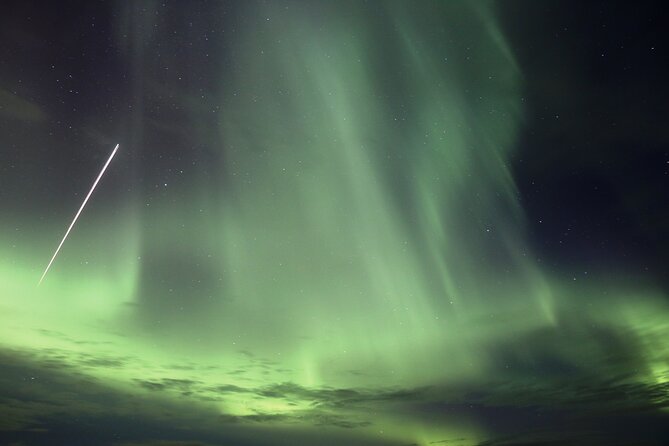 Forest Lagoon and Northern Lights Guided Night Tour - Key points to know before you go
