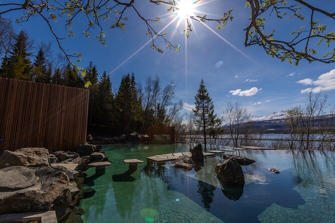 Forest Lagoon and Northern Lights Guided Night Tour - The Northern Lights Hunt from Akureyri: How Your Guide Changes the Plan