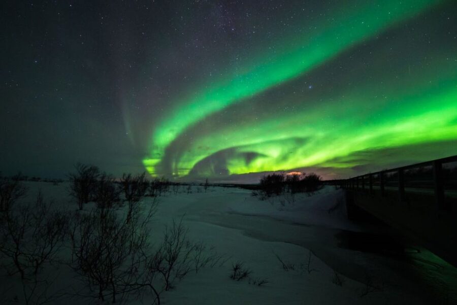 From Alta: Nighttime Northern Lights Spotting Tour - Key Things That Make This Alta Northern Lights Tour Worth Your Time