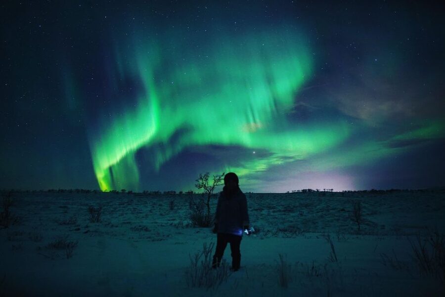 From Alta: Nighttime Northern Lights Spotting Tour - Alta After Dark: What This Northern Lights Tour Is Really About