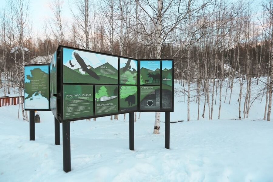 From Fairbanks: Arctic Circle Northern Lights Full-Day Trip - A once-a-day route that actually stacks Alaska’s best stops