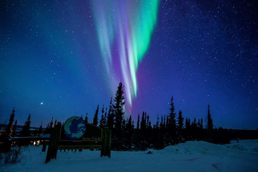 From Fairbanks: Northern Lights and Arctic Circle Tour - Key things to know before you go
