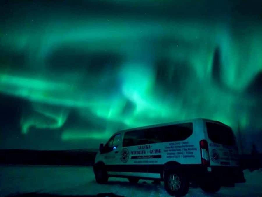 From Fairbanks: Northern Lights and Arctic Circle Tour - Yukon River Bridge and wildlife spotting: watch, pause, and stay patient