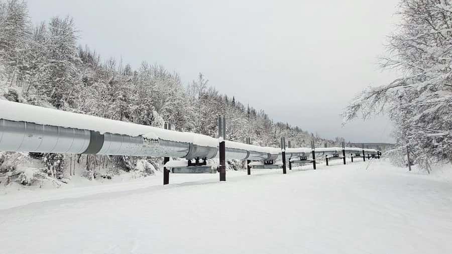 From Fairbanks: Northern Lights and Arctic Circle Tour - Comfort, timing, and what to pack for a cold road day