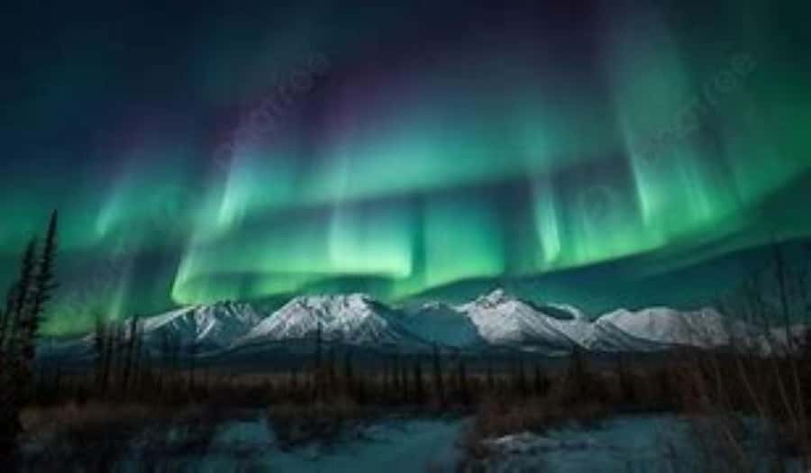 From Fairbanks: Northern Lights and Arctic Circle Tour - Price and value: is $330 a fair deal for this kind of day?