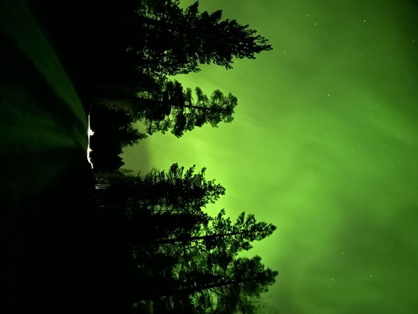From Kiruna: Abisko National Park Northern Lights Tour - The Abisko canyon walk at night: quiet nature time