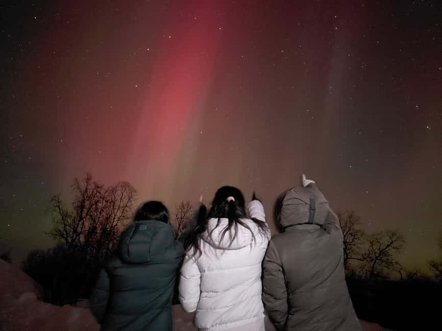 From Kiruna: Abisko National Park Northern Lights Tour - Heated minibus comfort: the smart start for a 4.5-hour night