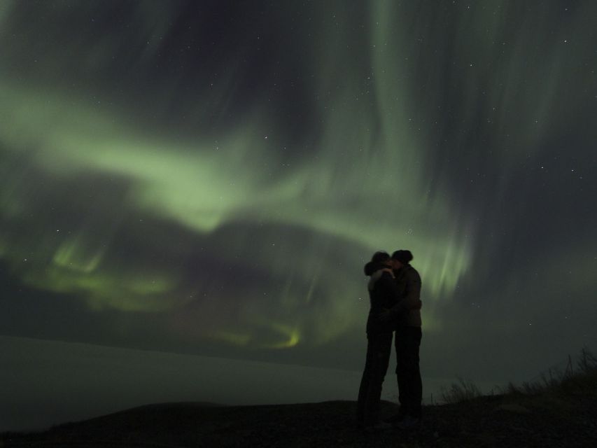 From Kiruna: Northern Lights Guided Husky Sledding Adventure - Key highlights to look for