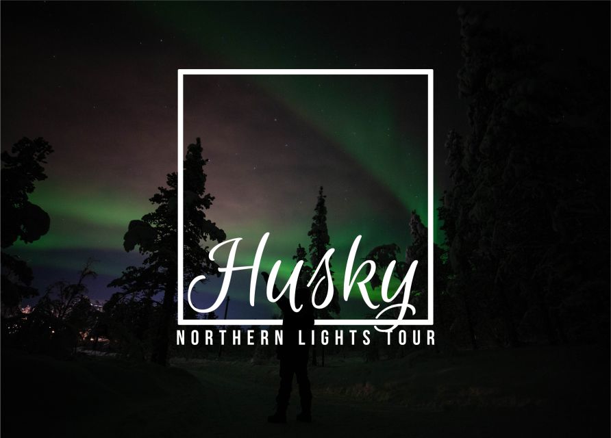 From Kiruna: Northern Lights Guided Husky Sledding Adventure - Kiruna husky sledding at night: what makes it special