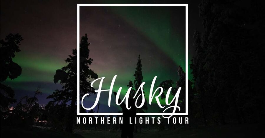 From Kiruna: Northern Lights Guided Husky Sledding Adventure - The safety briefing: how you learn to handle huskies in the dark