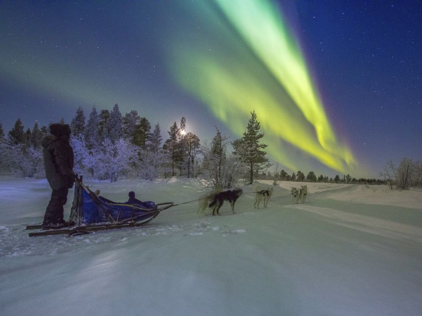 From Kiruna: Northern Lights Guided Husky Sledding Adventure - What to wear: staying warm without turning it into a gear obsession
