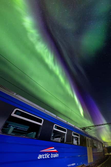 From Narvik: The Northern Lights Arctic Train Guided Tour - Train windows, seating choices, and how to spot the first lights