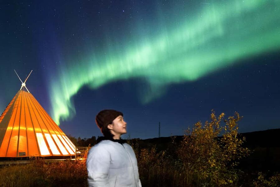 From Narvik: The Northern Lights Arctic Train Guided Tour - Photo tips that actually help at night