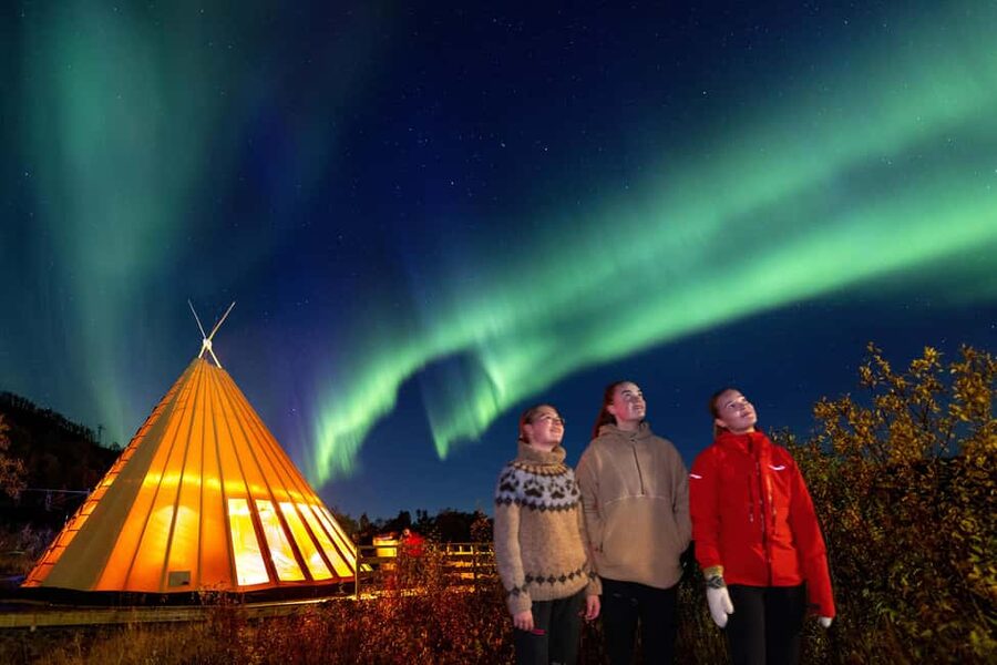 From Narvik: The Northern Lights Arctic Train Guided Tour - Should you book the Narvik Northern Lights Arctic Train tour?