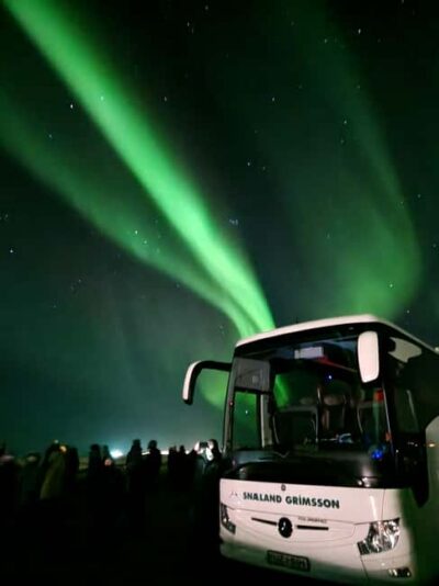 From Reykjavik: 3-Day Northern Lights Hunt & Glacier Lagoon - Friðheimar Geothermal Farm: the stop people remember
