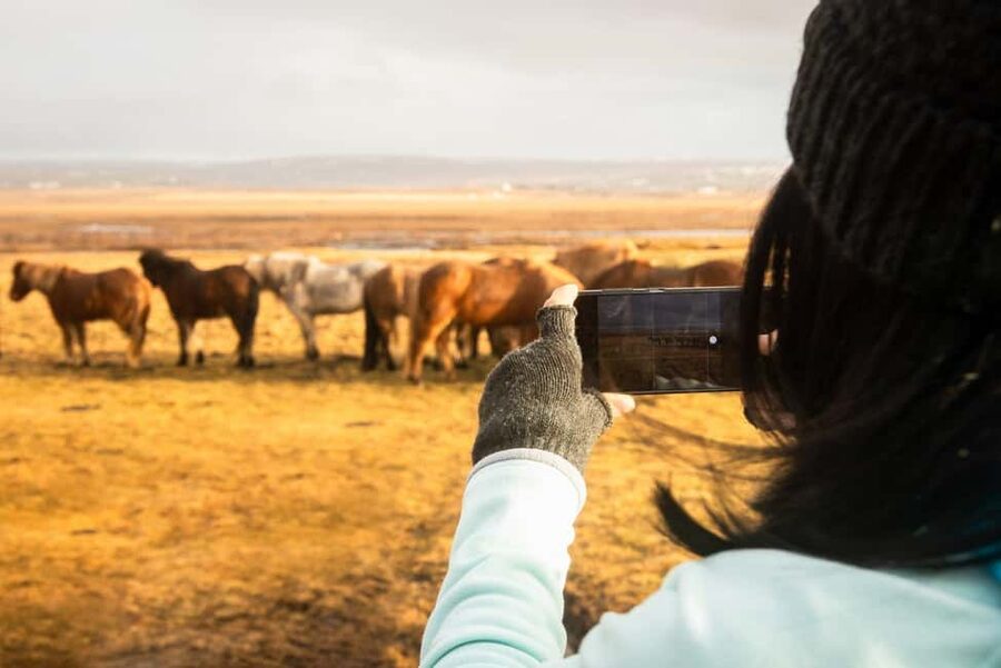 From Reykjavik: 3-Day Northern Lights Hunt & Glacier Lagoon - Getting around the countryside: bus comfort, pickup, and luggage sanity
