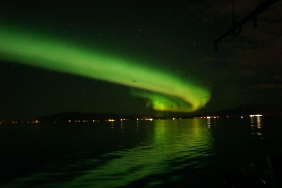 From Reykjavik: Northern Lights Boat Cruise - Price and what you’re really paying for (around $101)