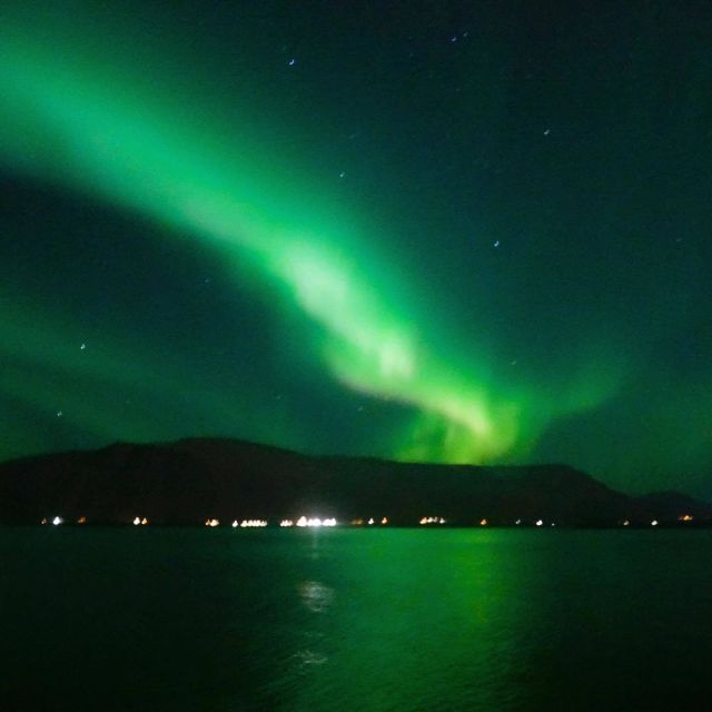 From Reykjavik: Northern Lights Boat Cruise - Photography in Iceland: what to expect when cameras and the aurora disagree