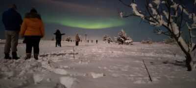 From Reykjavik: Northern Lights Chase with Expert Guide - What You Actually Do on the Bus: Learning, Watching, and Waiting