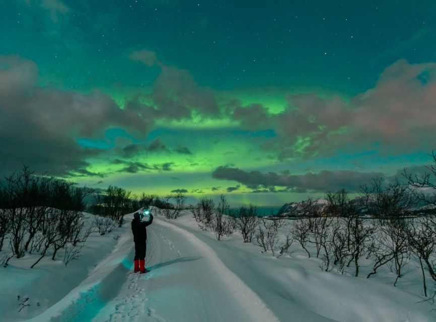 From Reykjavik: Northern Lights Chase with Expert Guide - Guides Who Keep Trying: What Makes the Best Nights Happen