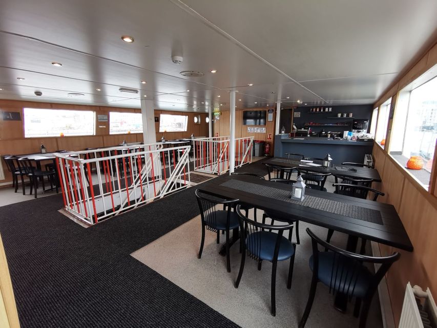 From Reykjavik: Northern Lights Sightseeing Cruise - Quick hits