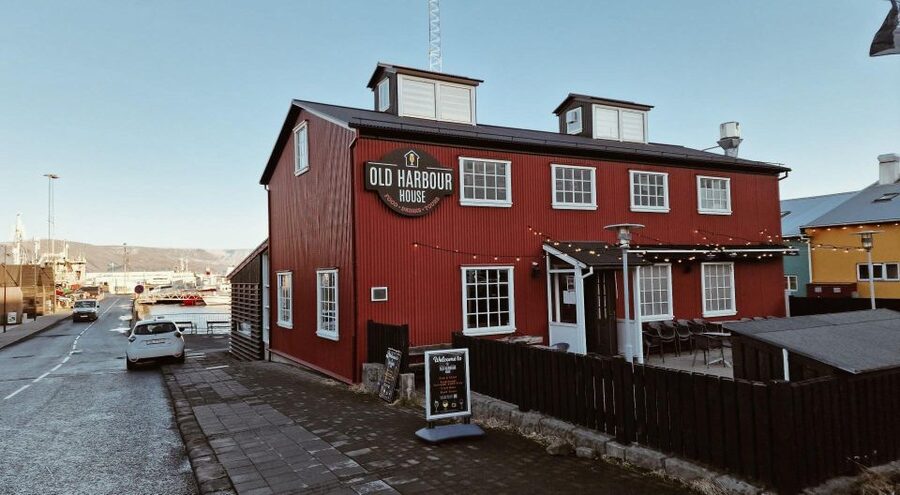 From Reykjavik: Northern Lights Sightseeing Cruise - Guide style: why live direction improves your odds
