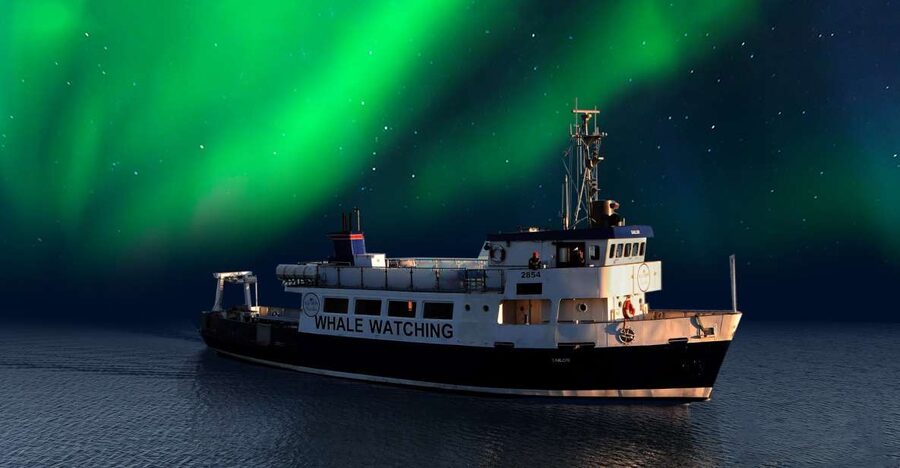 From Reykjavik: Northern Lights Sightseeing Cruise - Meeting at Old Harbour House: how to start the night smoothly
