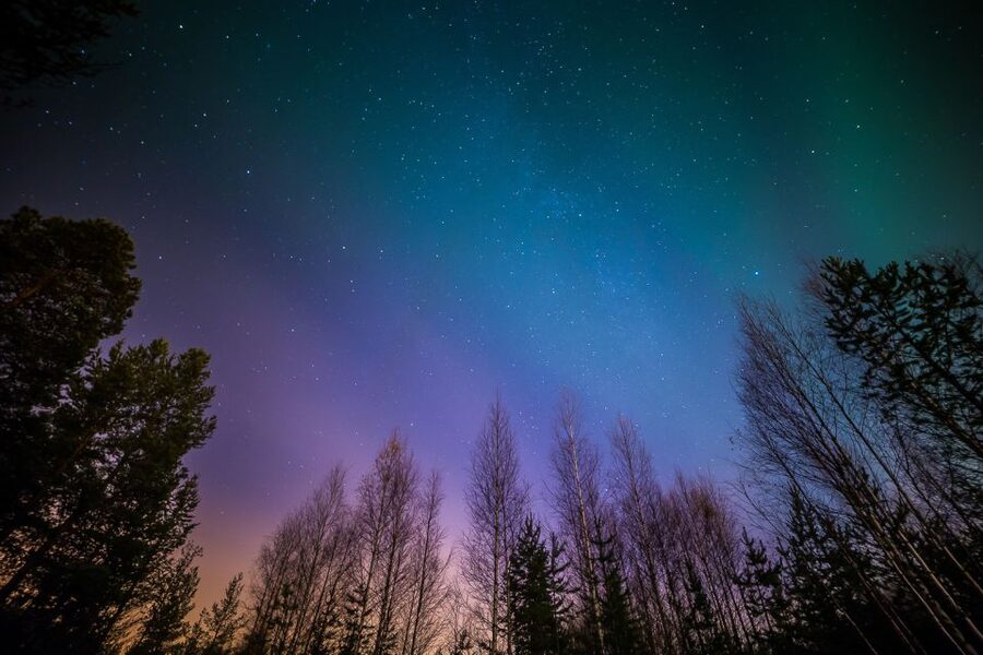 From Reykjavik: Northern Lights Tour - The Built-In Second Chance: Free Rebooking If You Miss