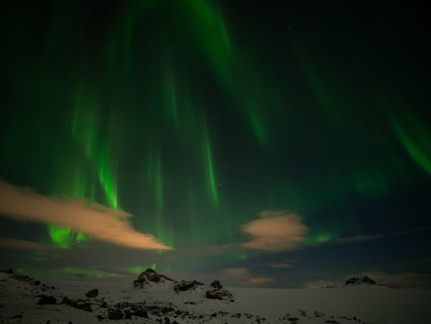 From Reykjavik: Northern Lights Tour with Hot Cocoa & Photos - Who should book this Northern Lights tour