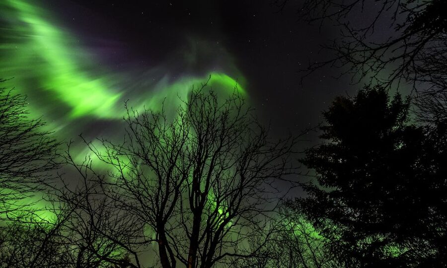 From Reykjavik: Northern Lights Tour with Lifetime Guarantee - Quick Hits Before You Go