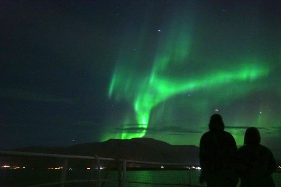 From Reykjavik: Whales and Northern Lights Boat Tour - Who should book this, and who might want a different plan