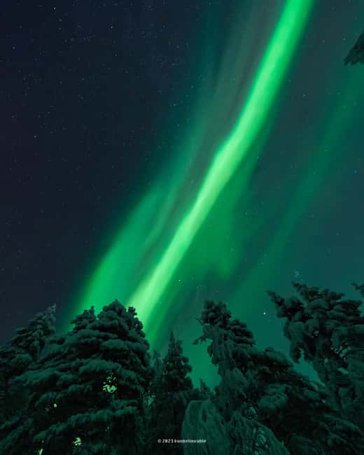 From Rovaniemi: Aurora Borealis Hunting with Photos & Videos - The Best Part: Photos and Videos Shared the Next Day