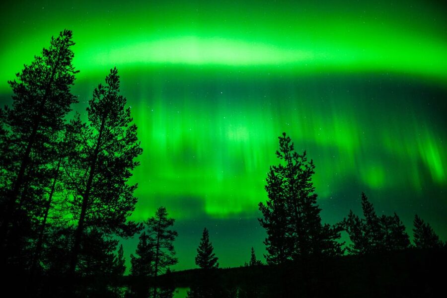 From Rovaniemi: Family-Friendly Northern Lights Tour - Who Should Book This Tour (And Who Should Skip It)