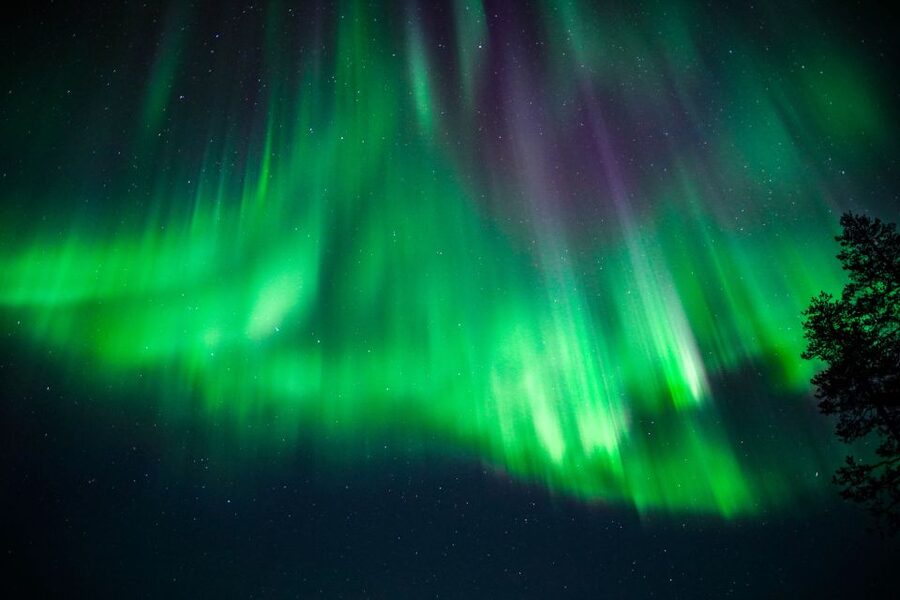 From Rovaniemi: Family-Friendly Northern Lights Tour - Guide Style Makes a Difference (And You’ll Feel It)