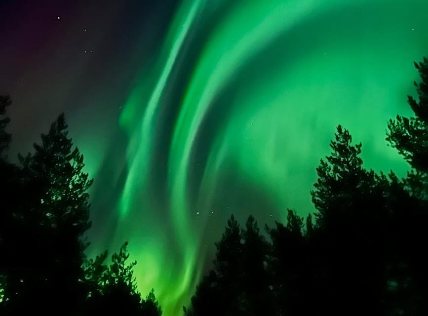 From Rovaniemi: Lapland Aurora Hunt with Barbeque - Entering The Frozen-Road Night: What the Tour Feels Like