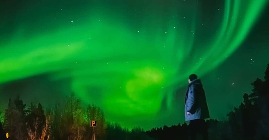 From Rovaniemi: Lapland Aurora Hunt with Barbeque - Pickup in Rovaniemi: You’re Not Wandering Around Lost