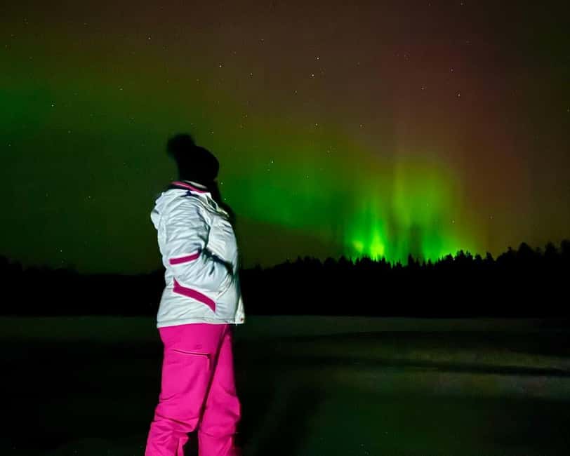 From Rovaniemi: Night Tour in Search of the Aurora with BBQ - Key highlights you’ll feel fast