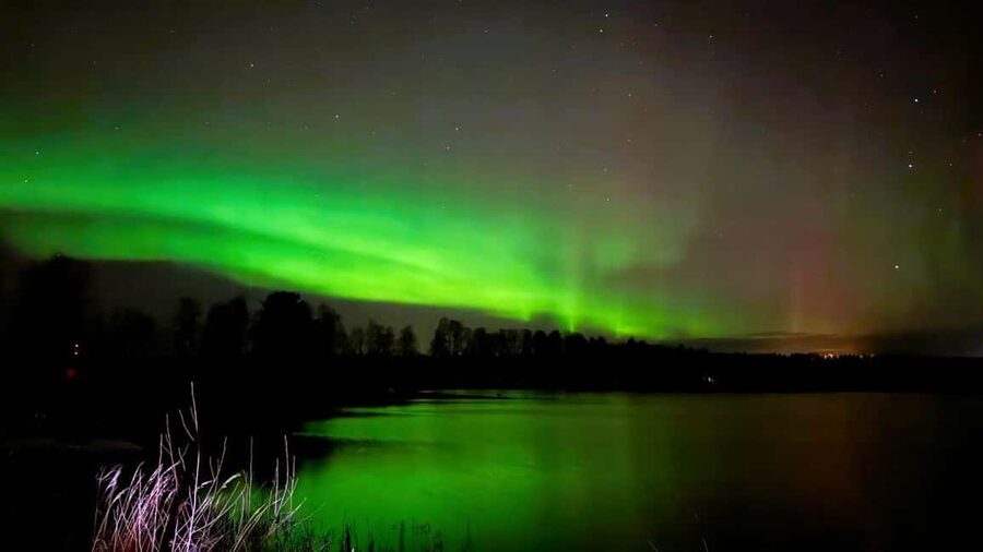 From Rovaniemi: Night Tour in Search of the Aurora with BBQ - Lapland BBQ by the fireplace: the warmth that makes the night work