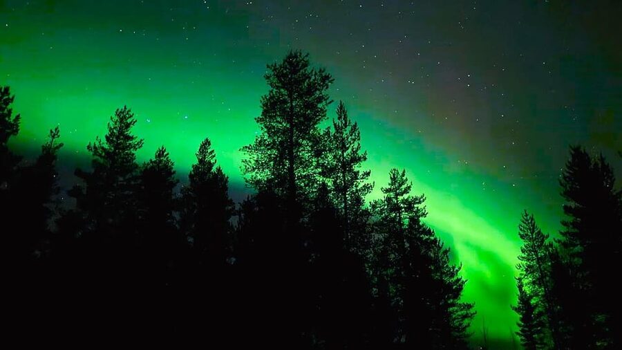 From Rovaniemi: Night Tour in Search of the Aurora with BBQ - What to pack so the cold does not run the show