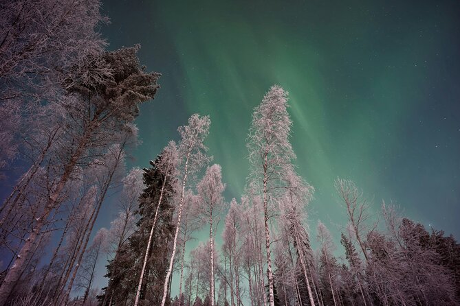 From Rovaniemi: Northern Lights Tour with Campfire Snacks - Key Things I’d Zoom In On