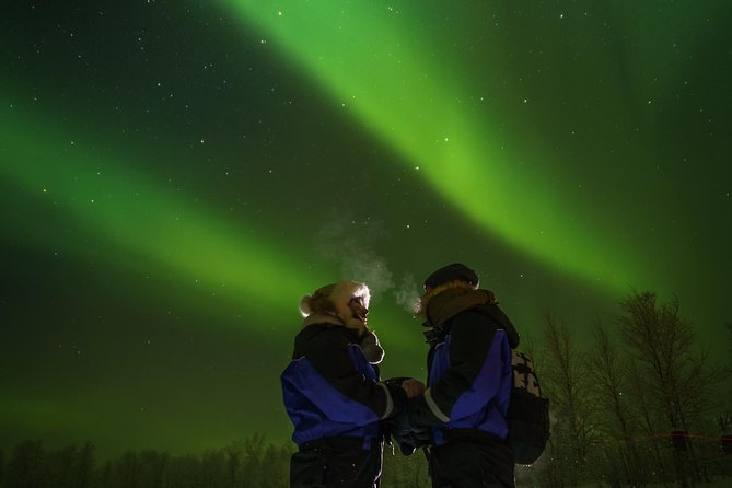 From Saariselkä: Northern lights tour to Lake Inari, incl. dinner - Stop at Lake Inari: The Moment the Night Turns Quiet