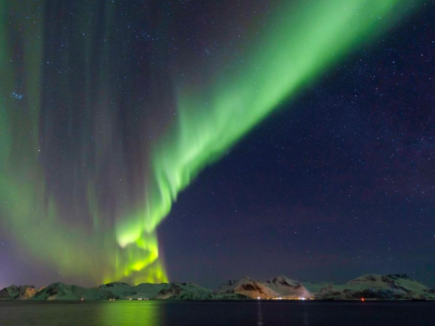 From Svolvær: Guided Northern Lights Tour by Van - Key highlights from this Svolvær Northern Lights Van Tour