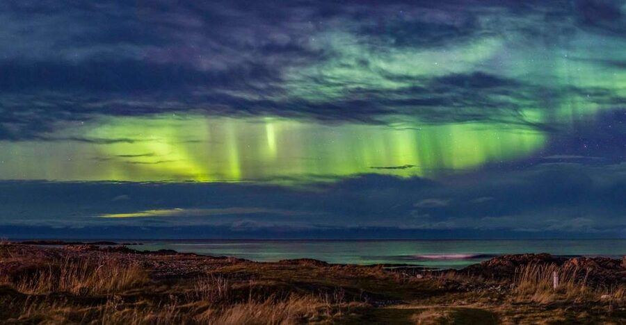 From Svolvær: Guided Northern Lights Tour by Van - Entering the World of Better Odds in the Lofoten Winter Dark