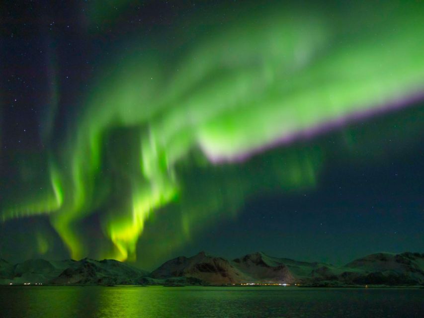 From Svolvær: Guided Northern Lights Tour by Van - The Season Window and When You’ll Actually Be Outside