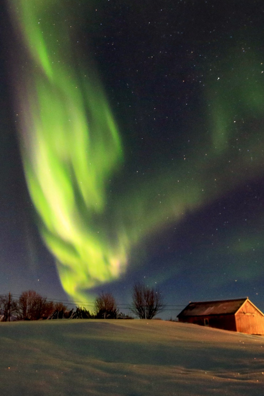 From Svolvaer: Private Northern Lights Search Trip - Key Highlights You’ll Care About