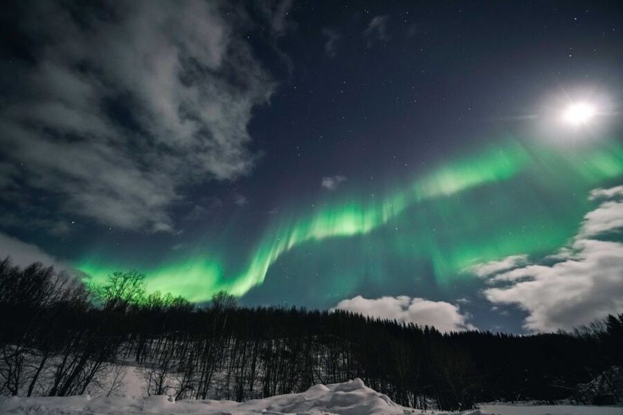 From Tromsø: Aurora Borealis Tour - Who should book, and who should skip it